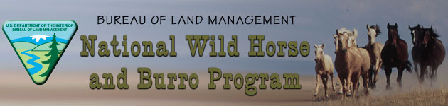 The Bureau of Land Management Wild Horse and Burro Program