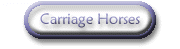 Carriage Horses