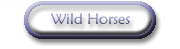 Wild Horses